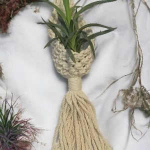 Κρεμαστό Macrame για Αερόφυτο